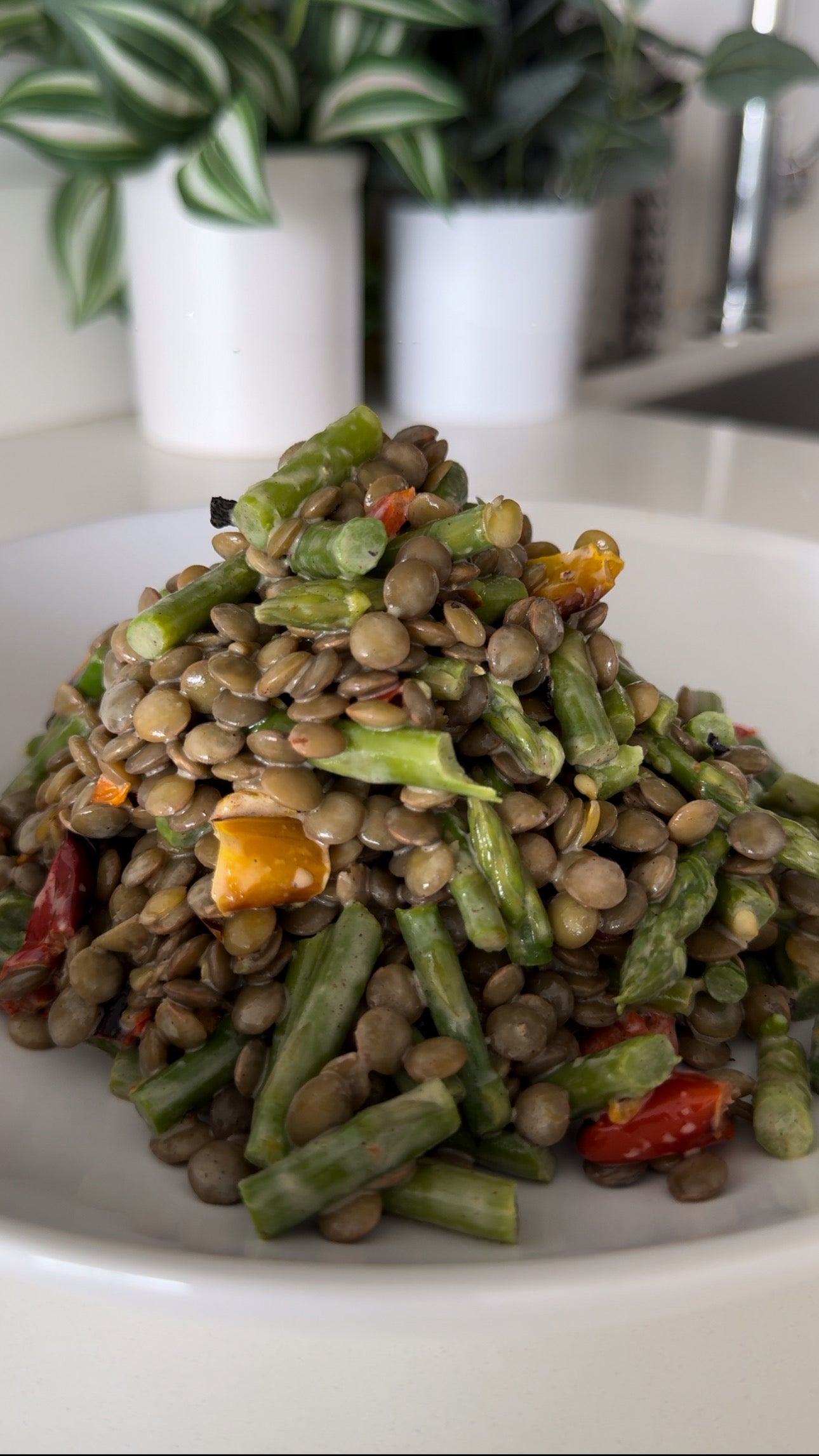 Kuşkonmazlı Mercimek Salatası