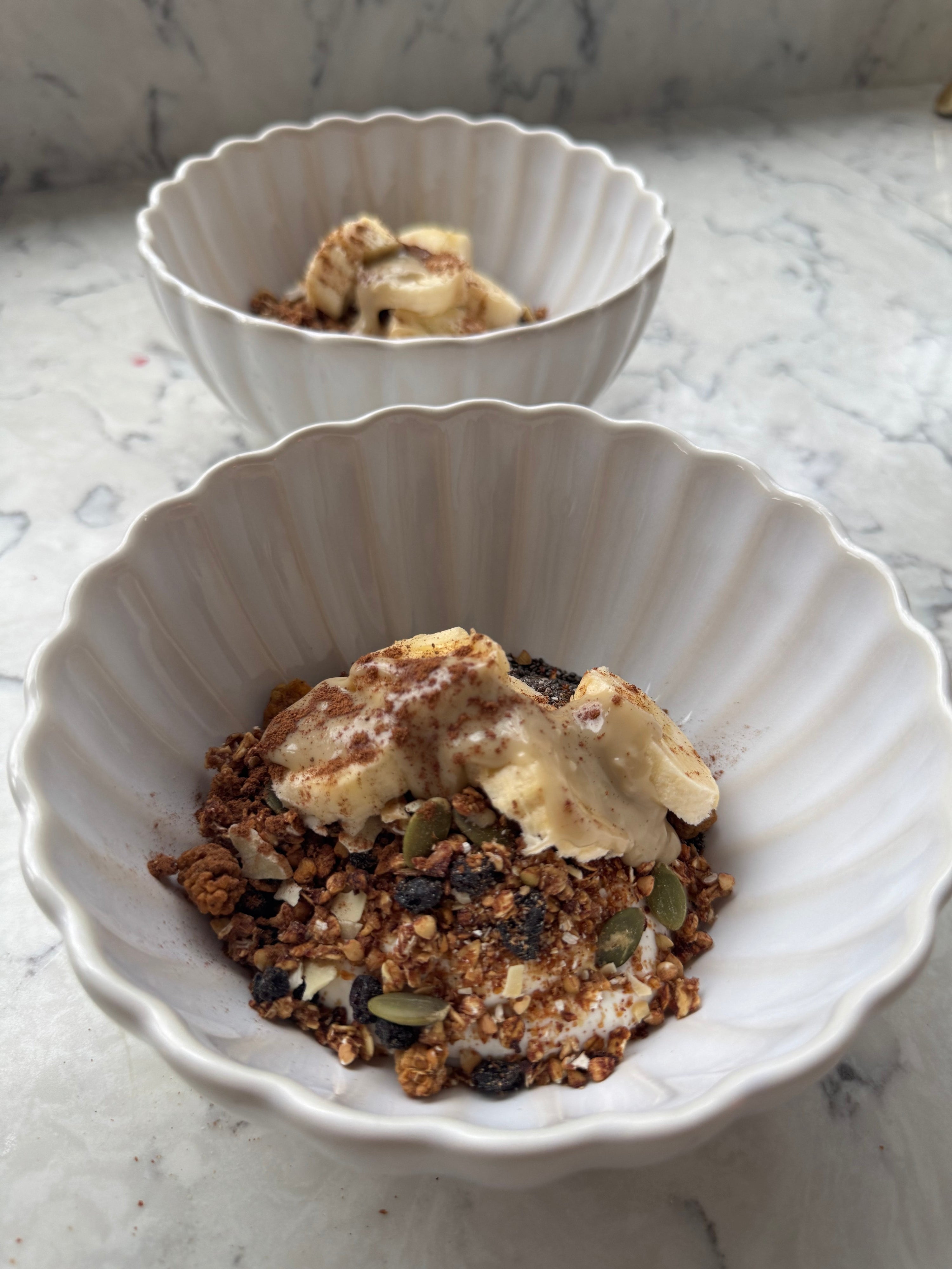 Yoğurtlu Granola Kasesi